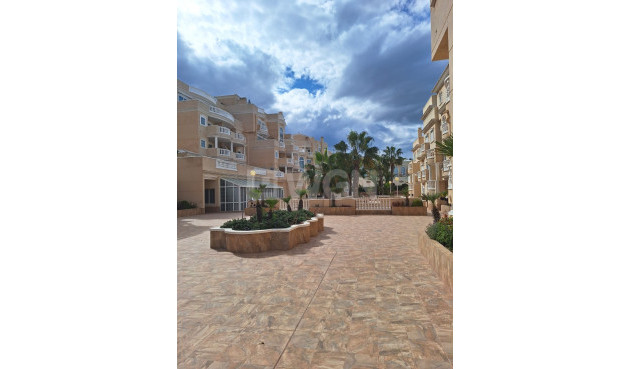 Odsprzedaż - Mieszkanie w bloku - Guardamar del Segura - Costa Blanca