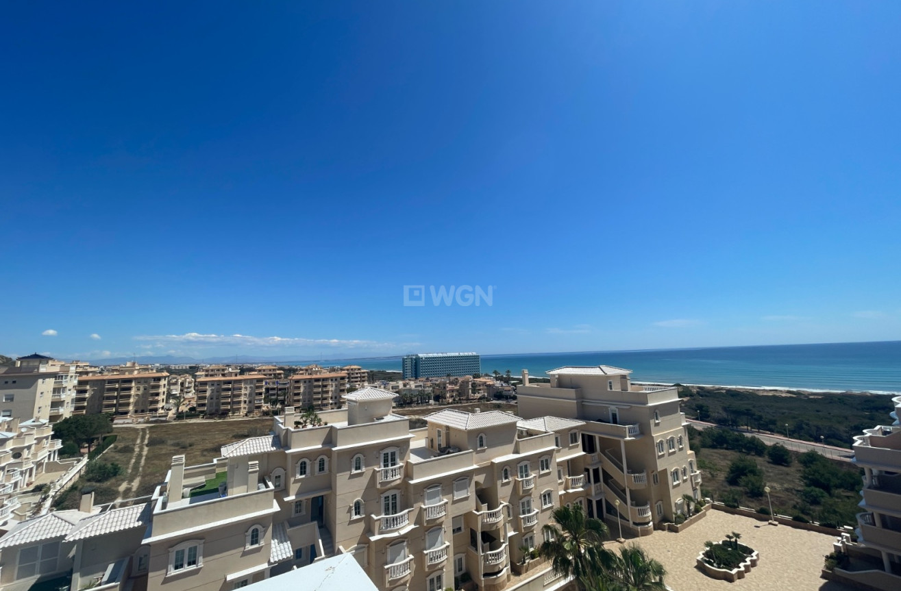 Odsprzedaż - Mieszkanie w bloku - Guardamar del Segura - Costa Blanca