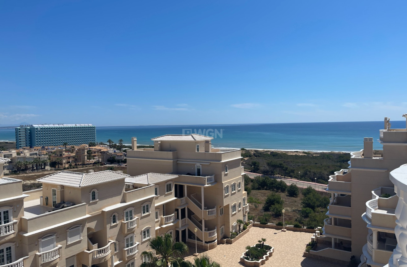 Odsprzedaż - Mieszkanie w bloku - Guardamar del Segura - Costa Blanca
