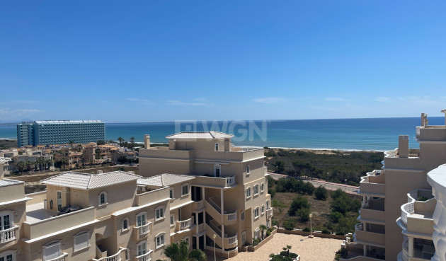 Odsprzedaż - Mieszkanie w bloku - Guardamar del Segura - Costa Blanca