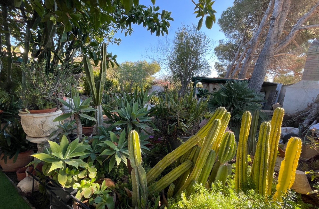 Reventa - Villa - Orihuela Costa - Costa Blanca