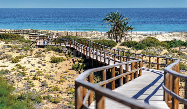 Nowy budynek - Daszek - Monforte del Cid - Alenda Golf