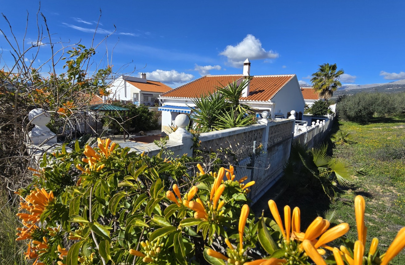 Odsprzedaż - Villa - Vinuela - Inland