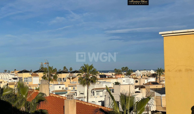 Odsprzedaż - Daszek - Torrevieja - Los Frutales