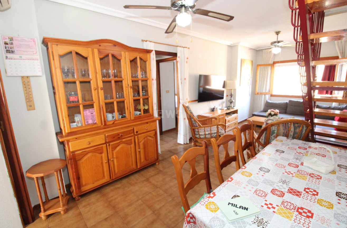 Odsprzedaż - Daszek - Lo Pagan - LA PUNTICA