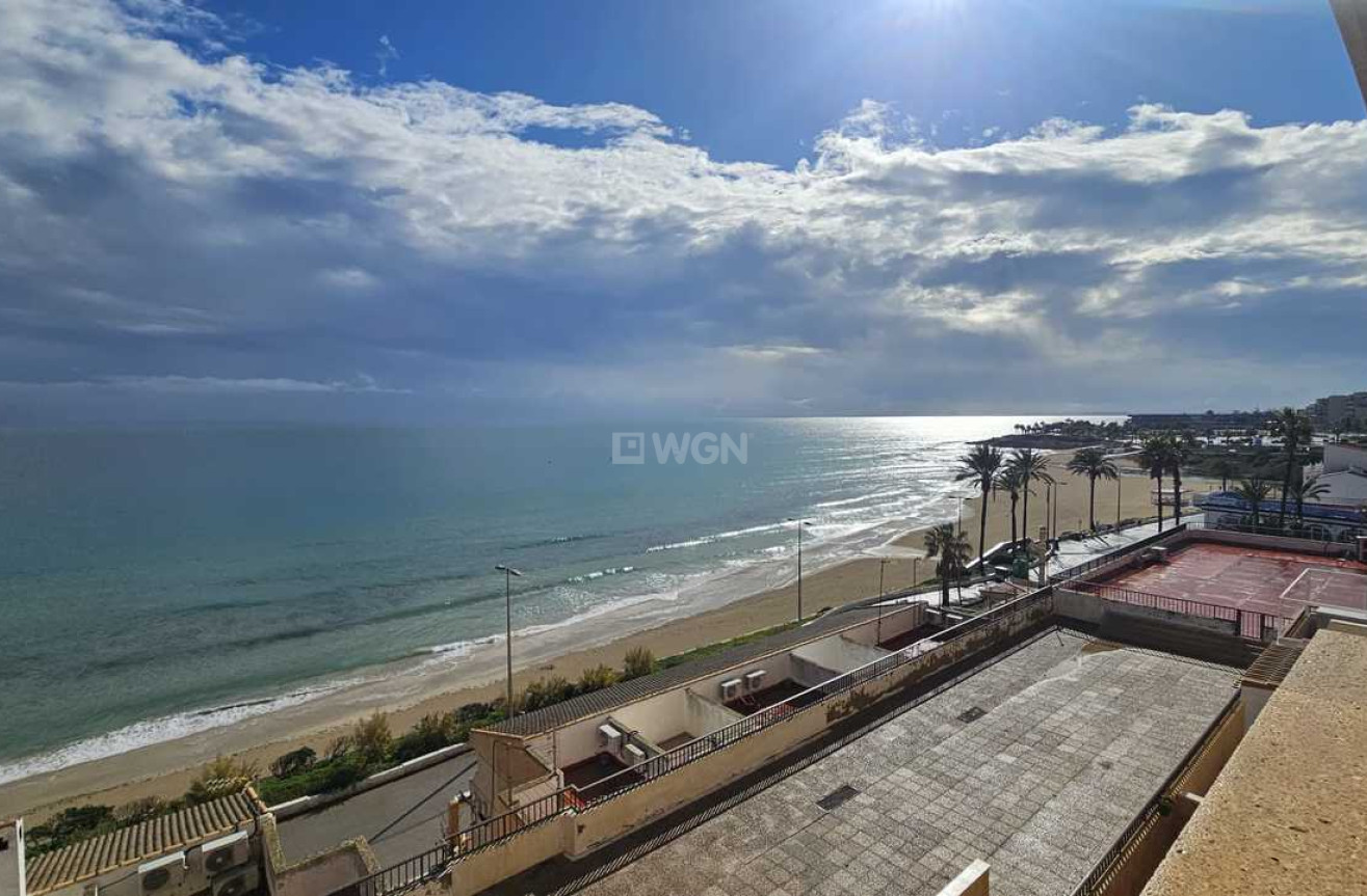 Resale - Apartment / flat - Mil Palmeras - Costa Blanca