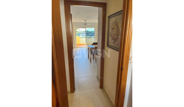 Reventa - Apartamento / piso - Orihuela Costa - Campoamor