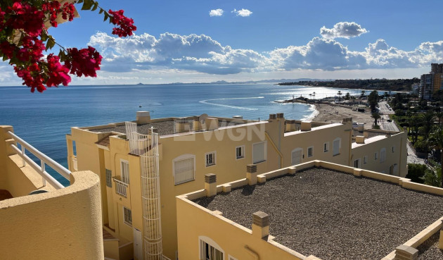 Reventa - Apartamento / piso - Orihuela Costa - Campoamor