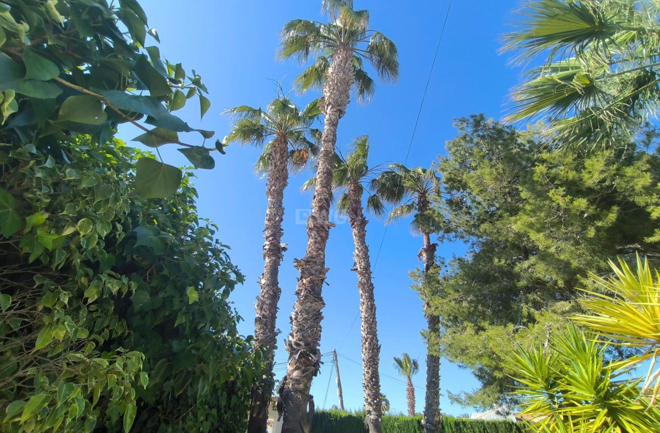 Odsprzedaż - Villa - Torrevieja - La Siesta