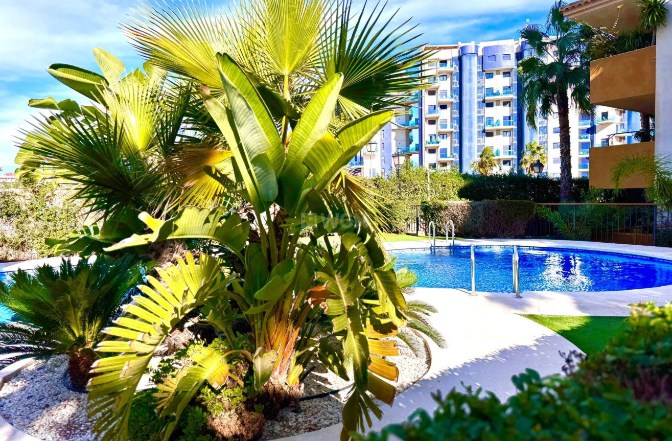 Resale - Apartment / flat - Torrevieja - Punta Prima