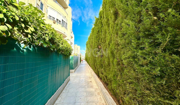 Odsprzedaż - Mieszkanie w bloku - Torrevieja - Playa del Cura