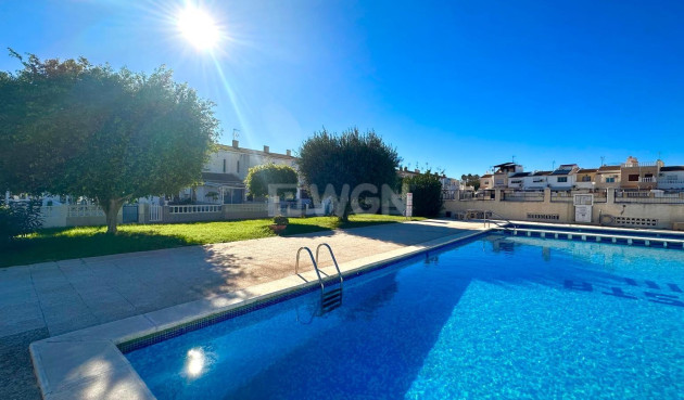 Odsprzedaż - Kamienica - Torrevieja - Estacion De Autobuses