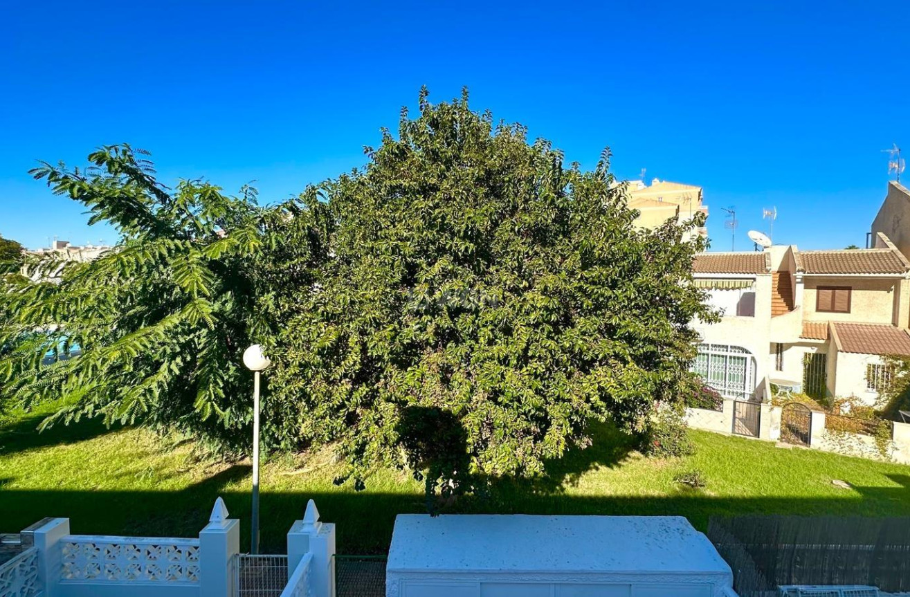 Odsprzedaż - Kamienica - Torrevieja - Estacion De Autobuses