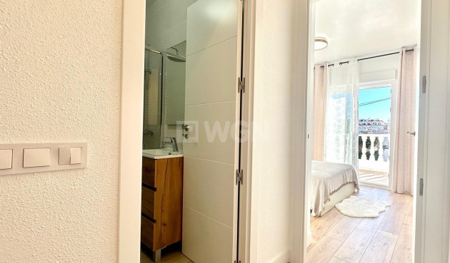 Odsprzedaż - Kamienica - Torrevieja - Estacion De Autobuses