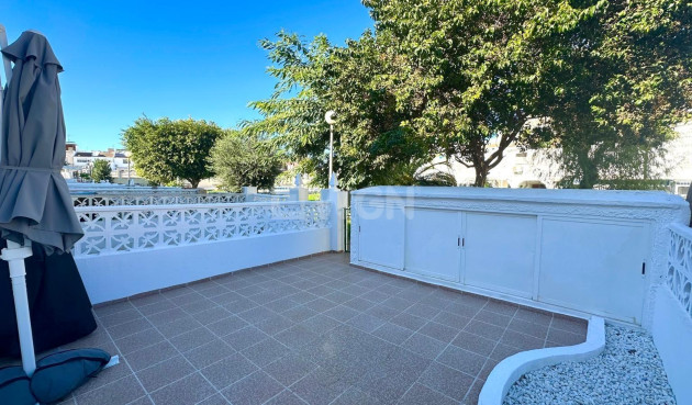 Odsprzedaż - Kamienica - Torrevieja - Estacion De Autobuses