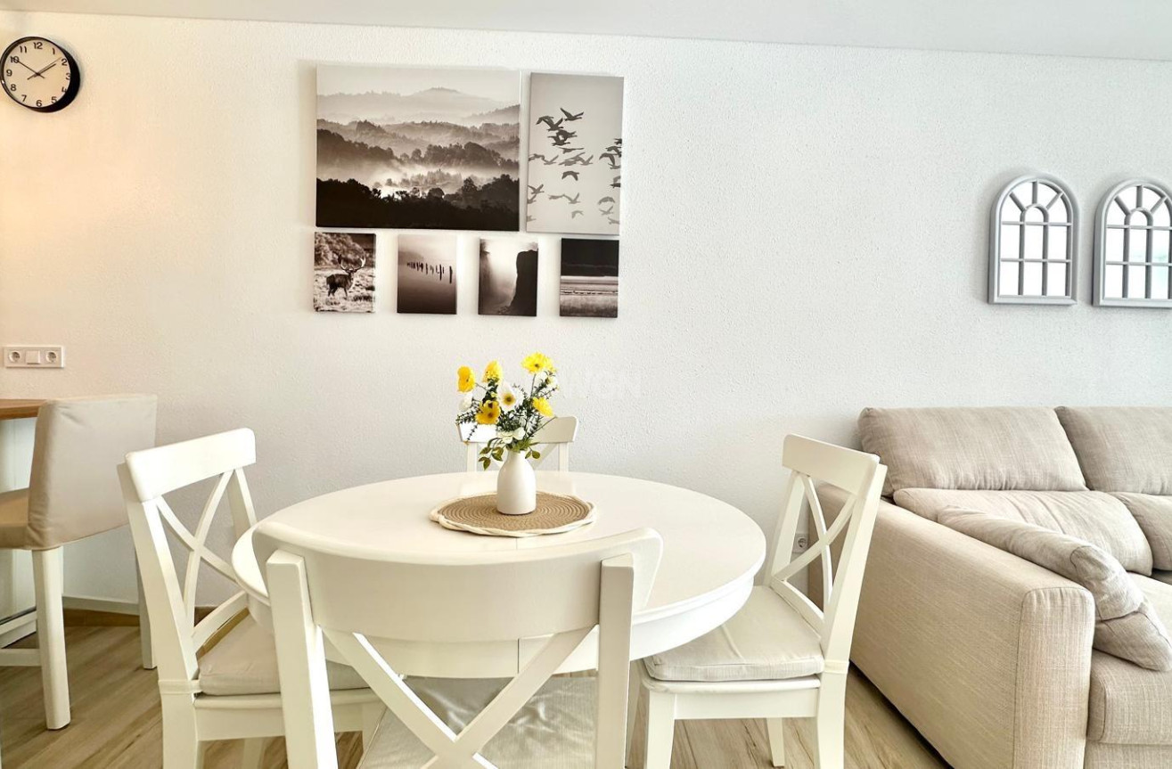 Odsprzedaż - Kamienica - Torrevieja - Estacion De Autobuses