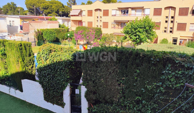 Reventa - Apartamento / piso - Lo Pagan - Villananitos