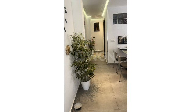 Reventa - Ático - Torrevieja - Centro