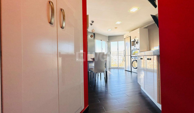 Odsprzedaż - Mieszkanie w bloku - Torrevieja - Estacion De Autobuses