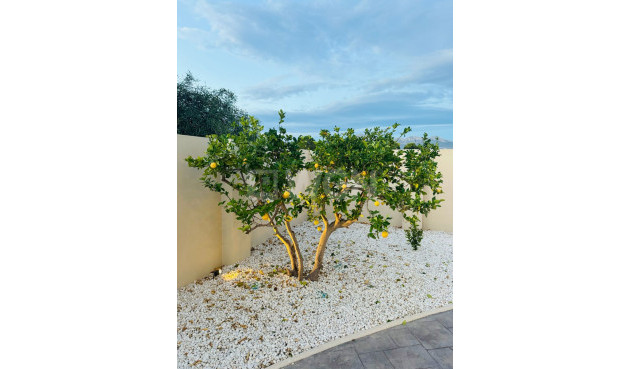 Reventa - Villa - Alfas del Pí - Costa Blanca