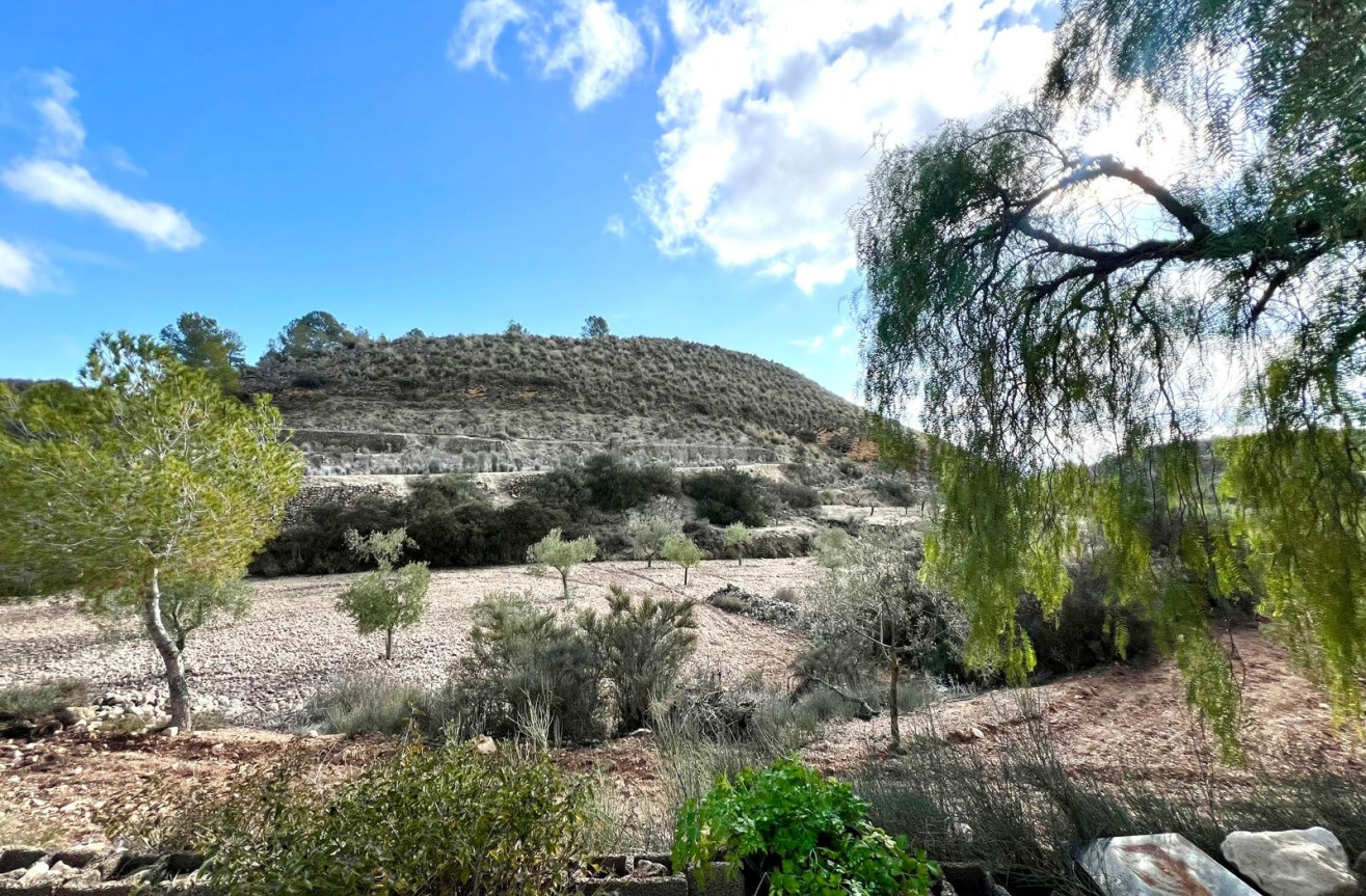 Odsprzedaż - Villa - Monóvar/Monóver - Inland