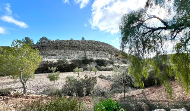 Odsprzedaż - Villa - Monóvar/Monóver - Inland