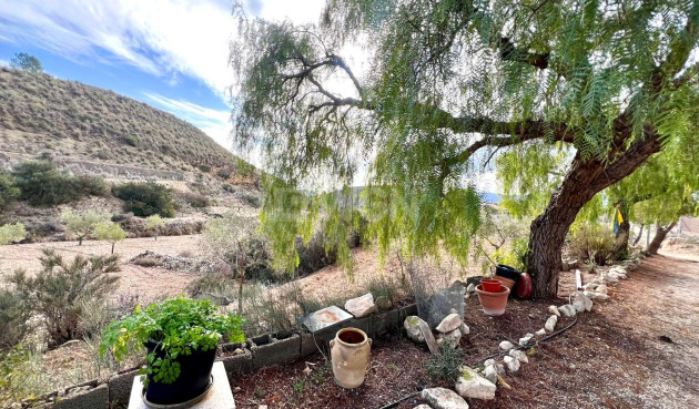 Odsprzedaż - Villa - Monóvar/Monóver - Inland