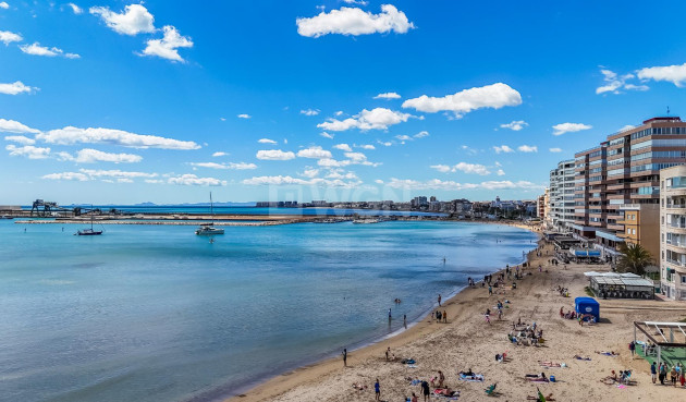 Resale - Apartment / flat - Torrevieja - Costa Blanca