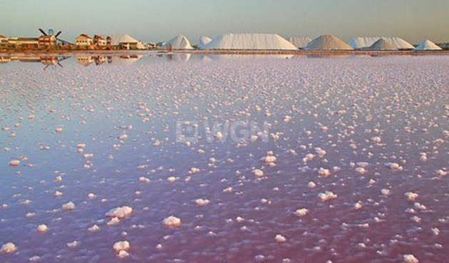 Reventa - Villa - Torre de la Horadada - Costa Blanca