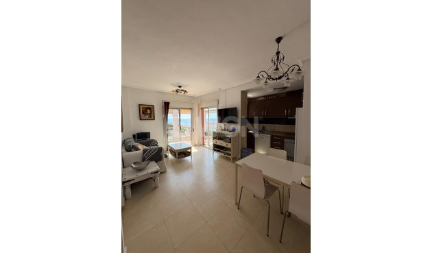 Odsprzedaż - Daszek - Torrevieja - Punta Prima