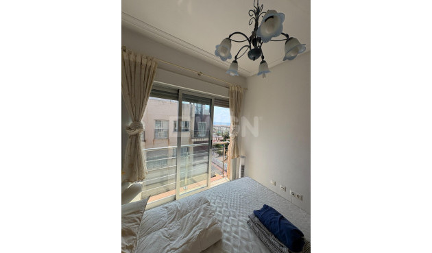 Odsprzedaż - Daszek - Torrevieja - Punta Prima