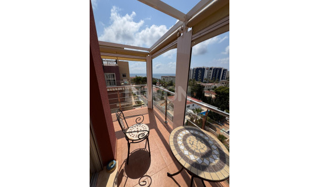 Odsprzedaż - Daszek - Torrevieja - Punta Prima