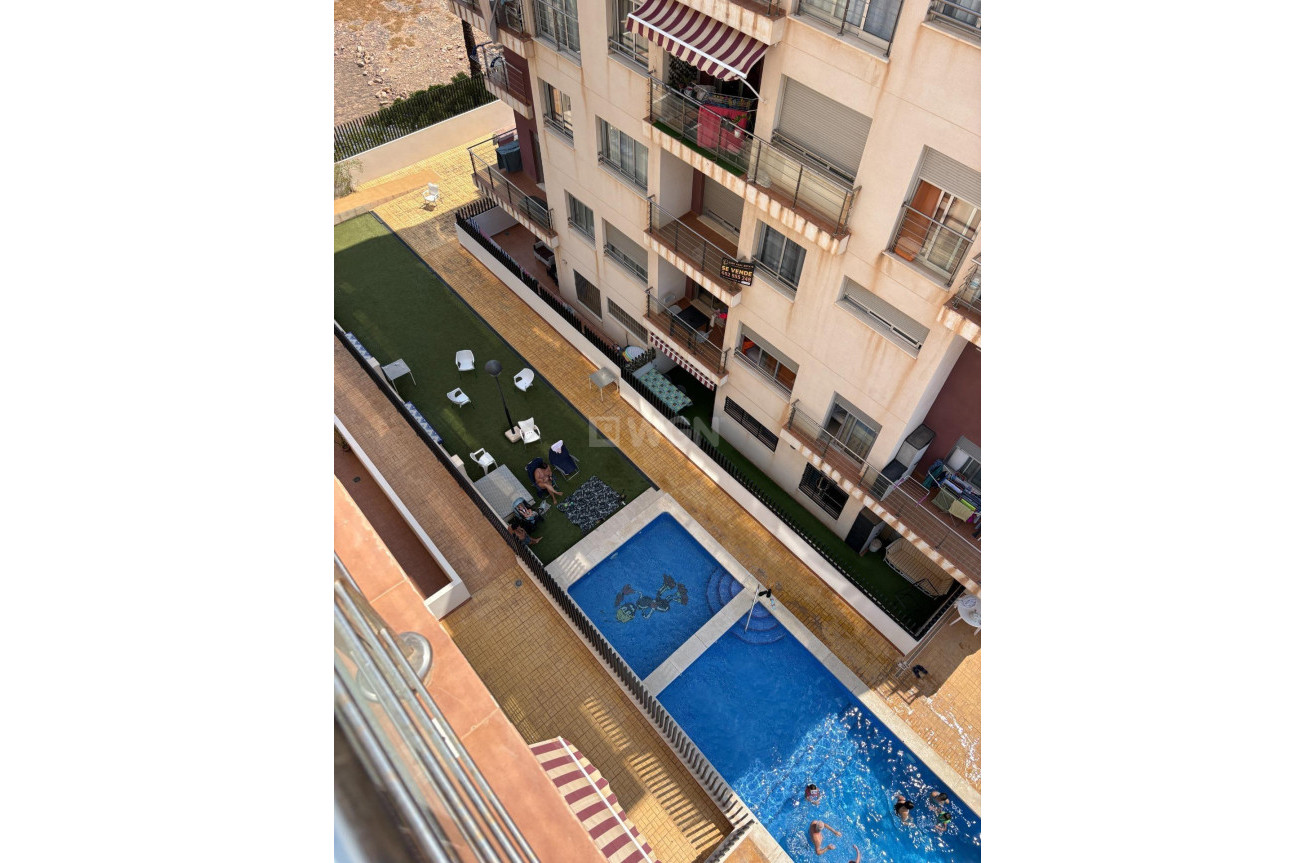 Odsprzedaż - Daszek - Torrevieja - Punta Prima