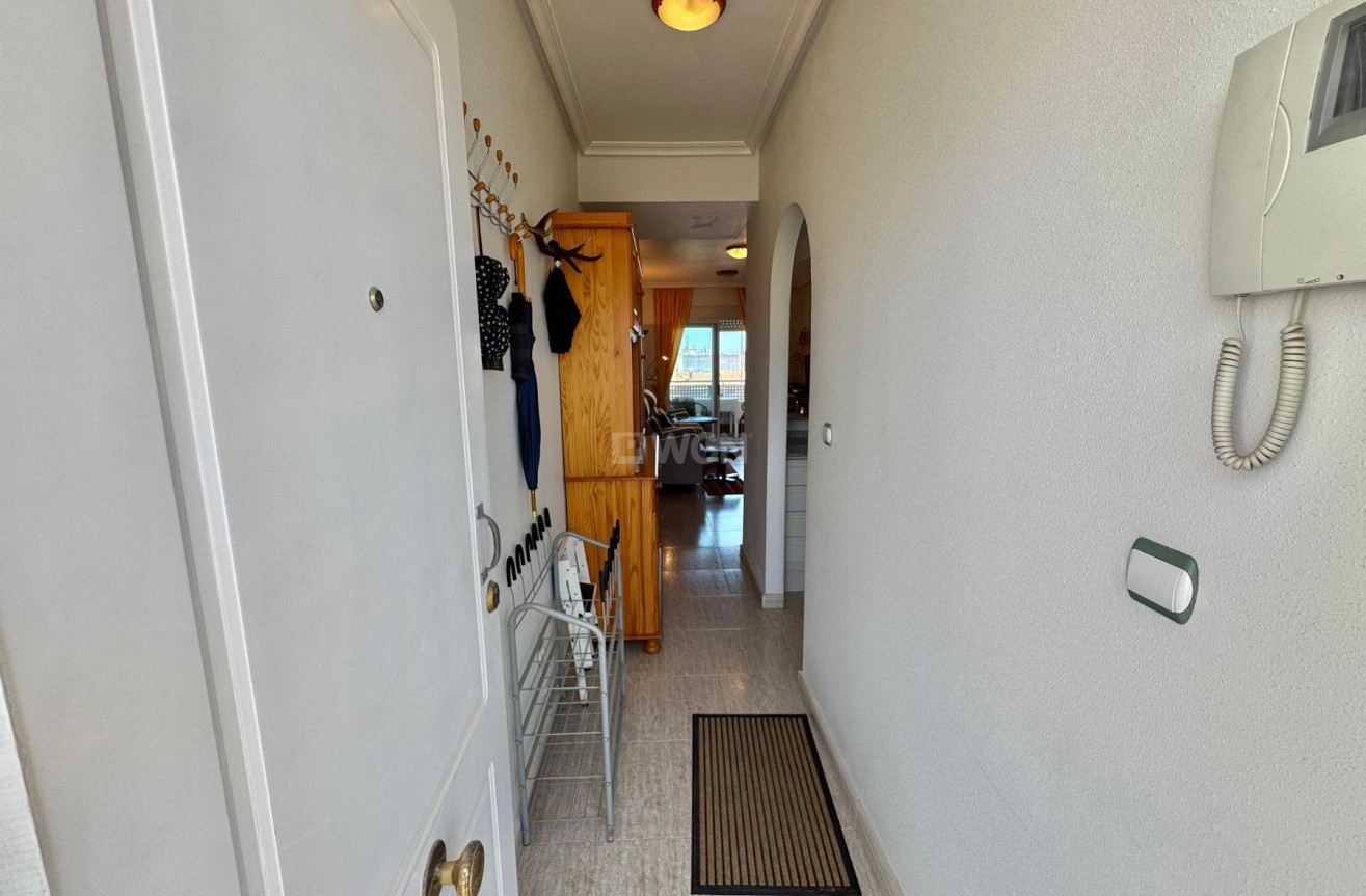 Reventa - Apartamento / piso - Almoradí - Inland