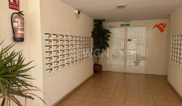 Reventa - Apartamento / piso - Almoradí - Inland