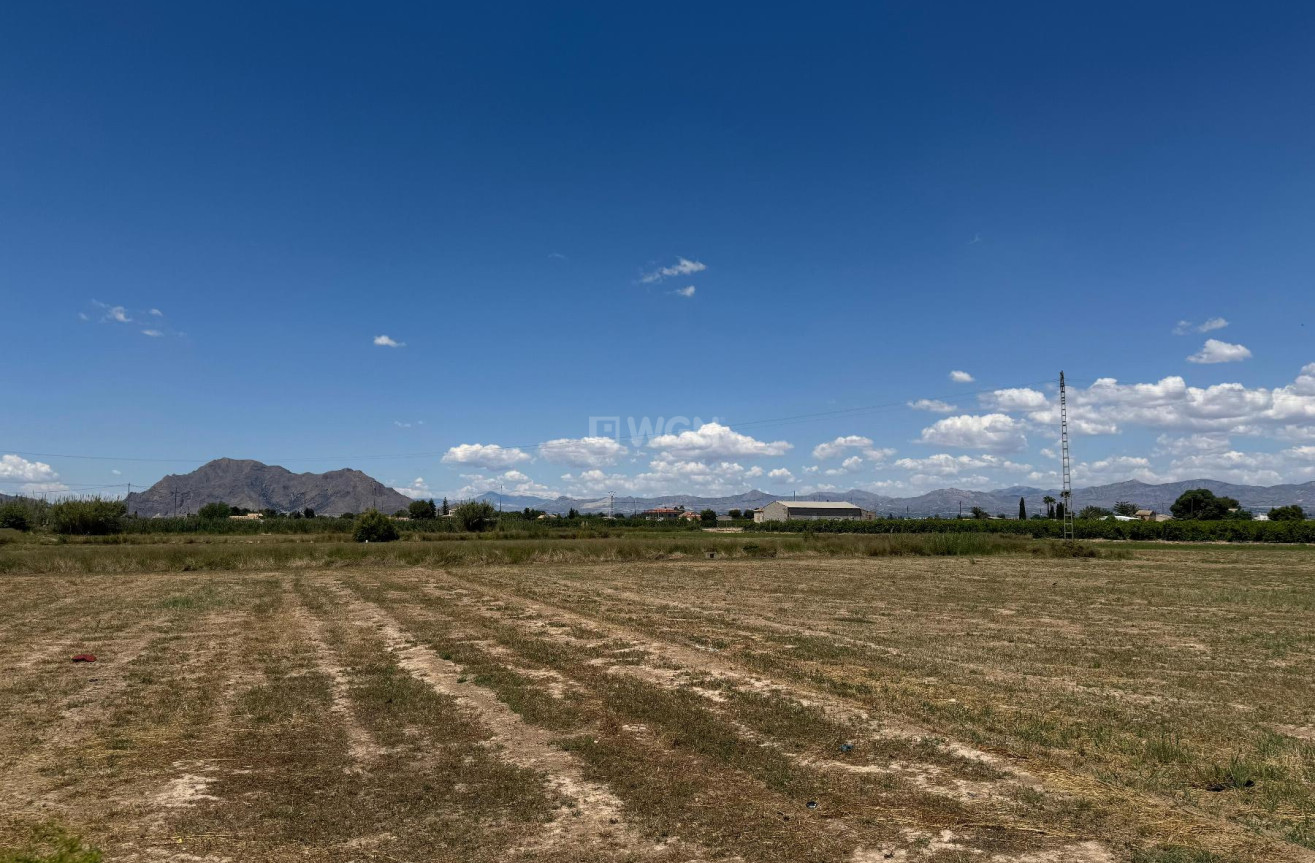 Reventa - Apartamento / piso - Almoradí - Inland