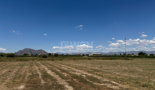 Reventa - Apartamento / piso - Almoradí - Inland