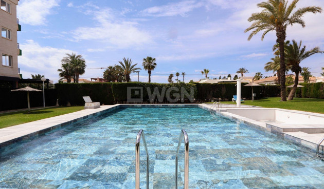 Odsprzedaż - Mieszkanie w bloku - Torrevieja - Costa Blanca