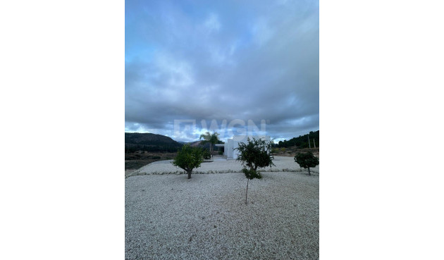 Odsprzedaż - Villa - Pinoso - Inland