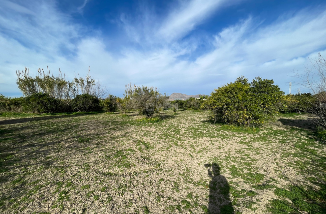 Wiederverkauf - Villa - Benejúzar - Inland