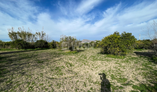 Wiederverkauf - Villa - Benejúzar - Inland