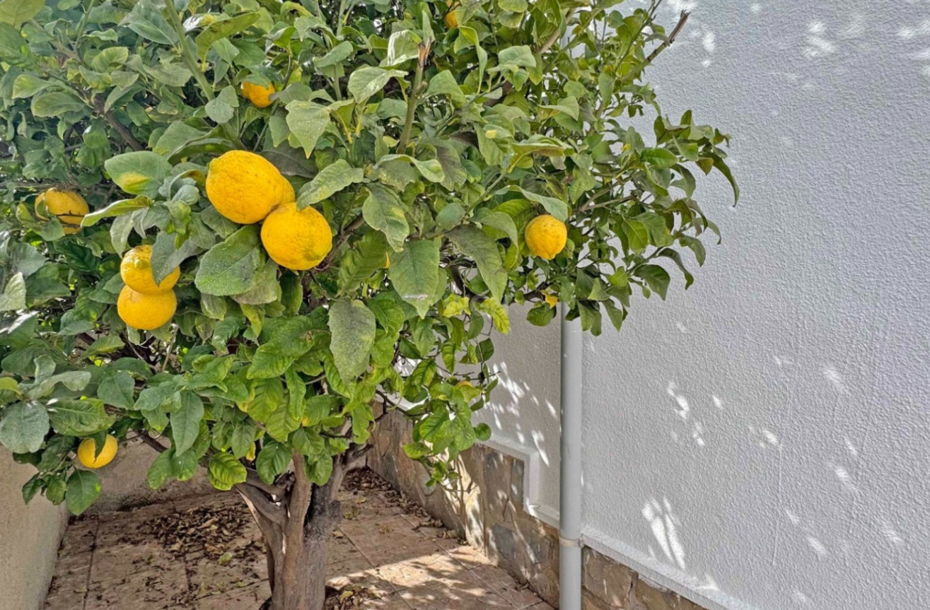 Reventa - Adosado - San Miguel de Salinas - Inland