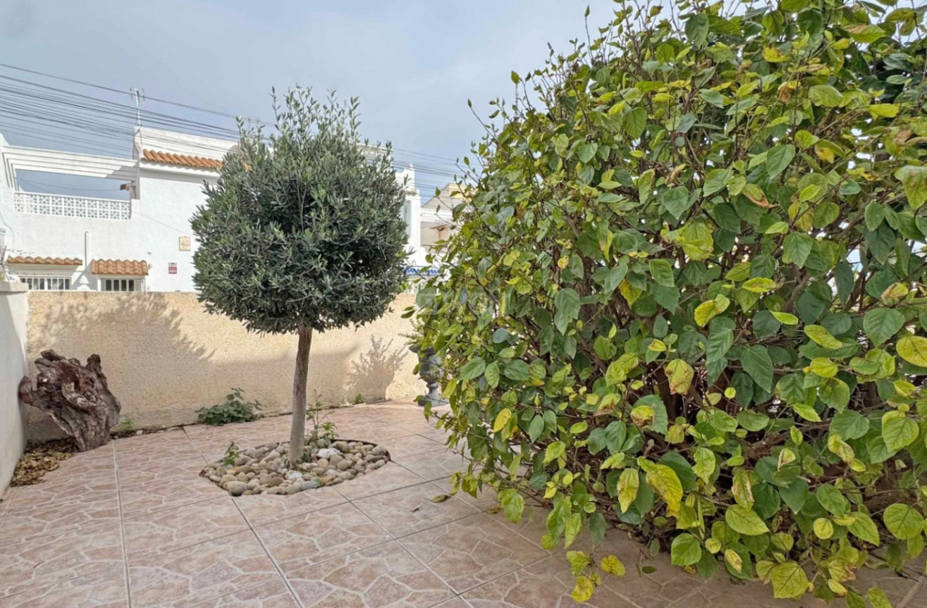 Reventa - Adosado - San Miguel de Salinas - Inland