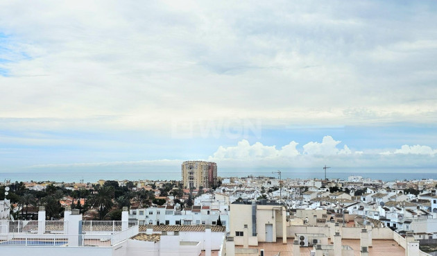Resale - Apartment / flat - Torrevieja - Nueva Torrevieja
