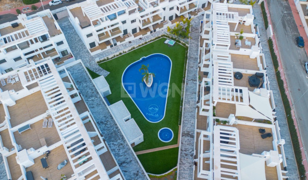 Odsprzedaż - Bungalow - Torrevieja - Los Balcones - Los Altos del Edén