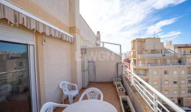 Odsprzedaż - Daszek - Torrevieja - Centro