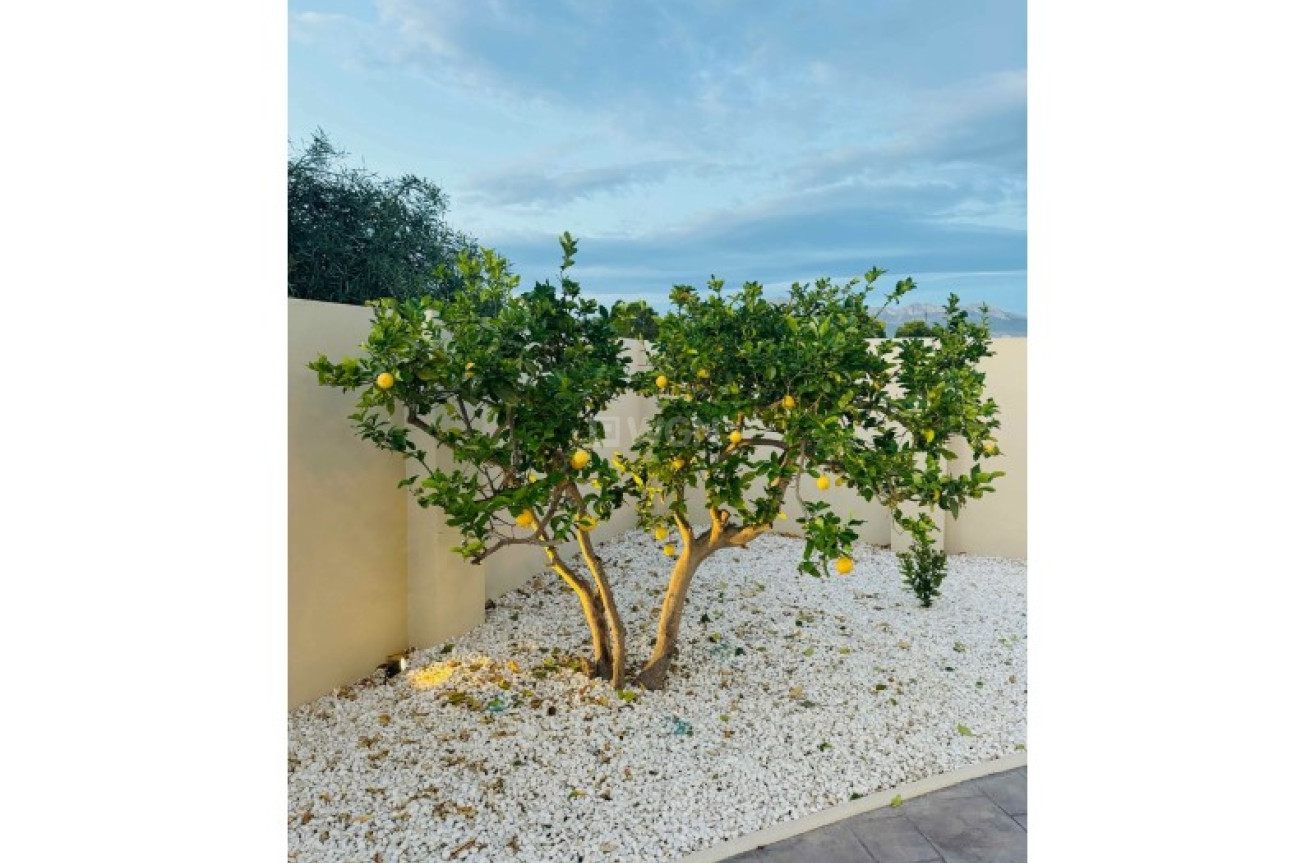 Odsprzedaż - Villa - Alfas del Pí - Costa Blanca