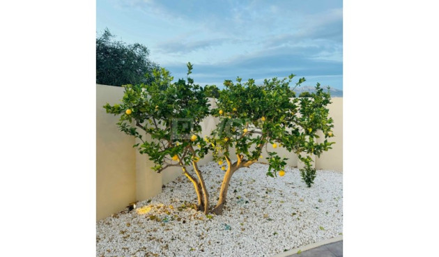 Odsprzedaż - Villa - Alfas del Pí - Costa Blanca