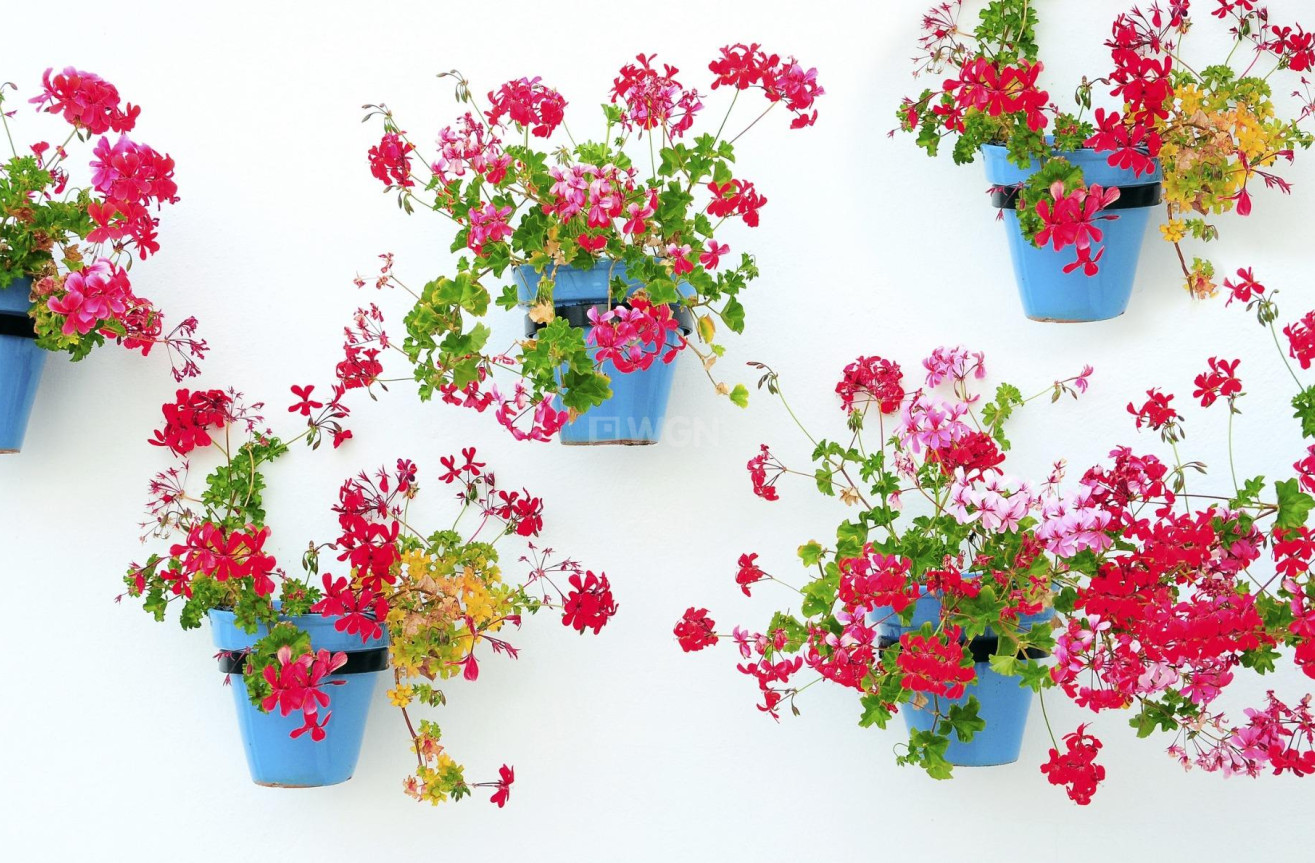 Nowy budynek - Mieszkanie w bloku - Mijas - La Noria Golf