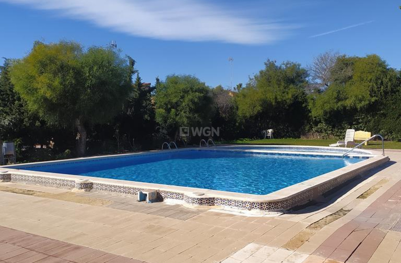 Odsprzedaż - Mieszkanie w bloku - Torrevieja - Punta Prima